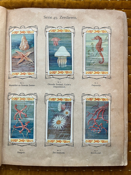 Verkade Plaatjesalbum 3 (1905) losse plaatjes Serie 49 Zeedieren