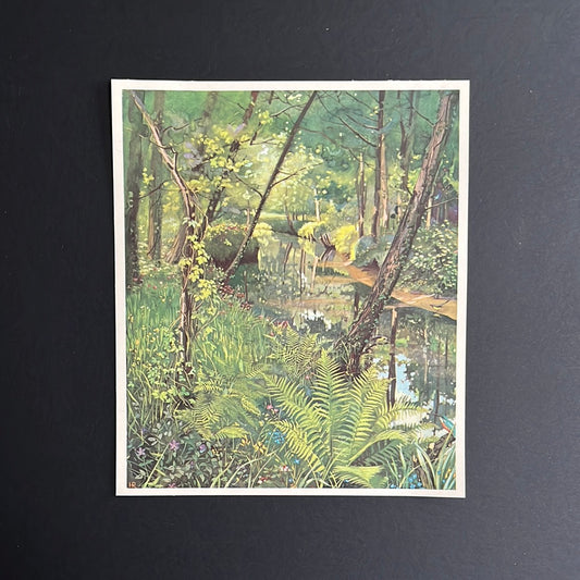 Forest landscape on the Slinge. No. 22 (1937)