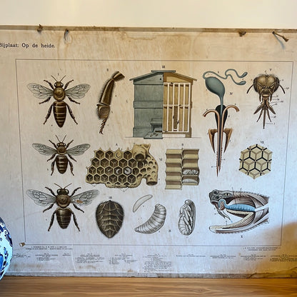 Vintage double-sided school poster On the heath and At the ruin