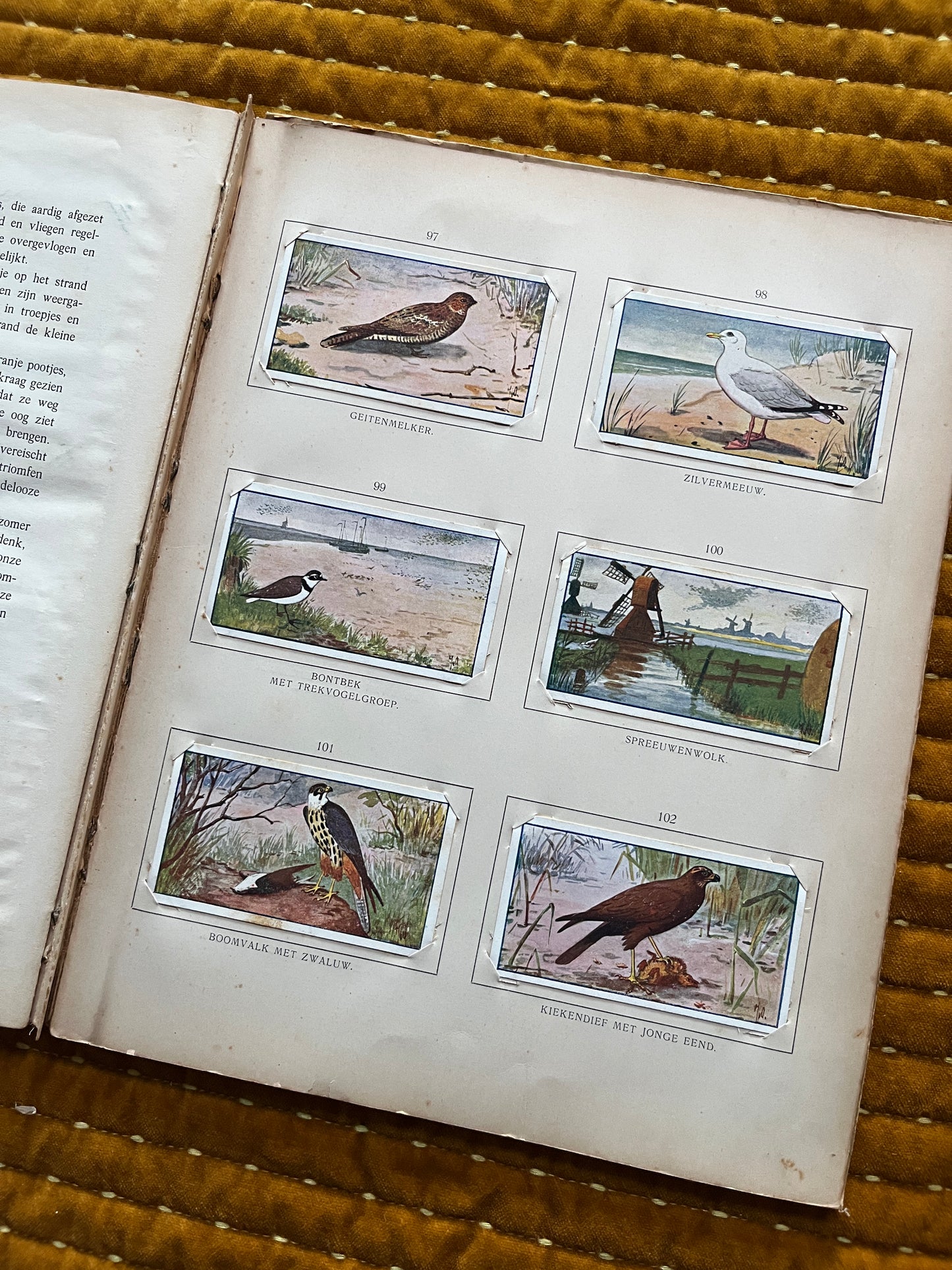 Zomer Verkade Plaatjesalbum 1907