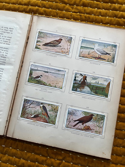 Zomer Verkade Plaatjesalbum 1907