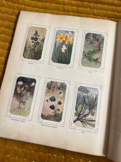 Lente Verkade Plaatjesalbum 1906