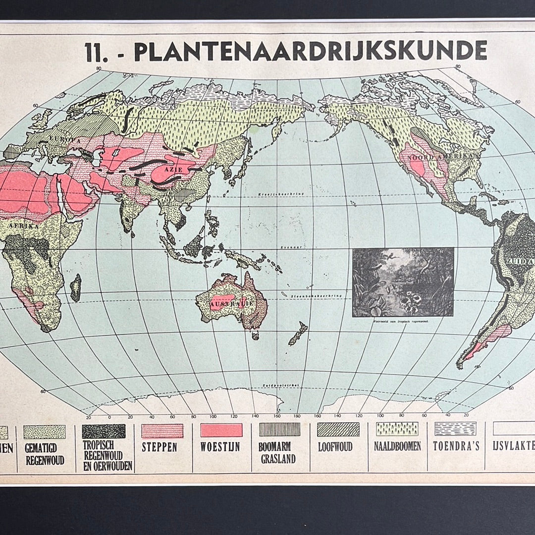Plantenaardrijkskunde 1939