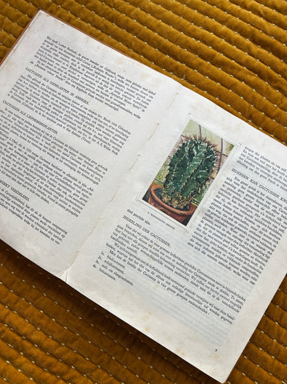 Cactus-Album Plaatjesalbum