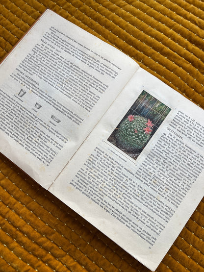 Cactus-Album Plaatjesalbum