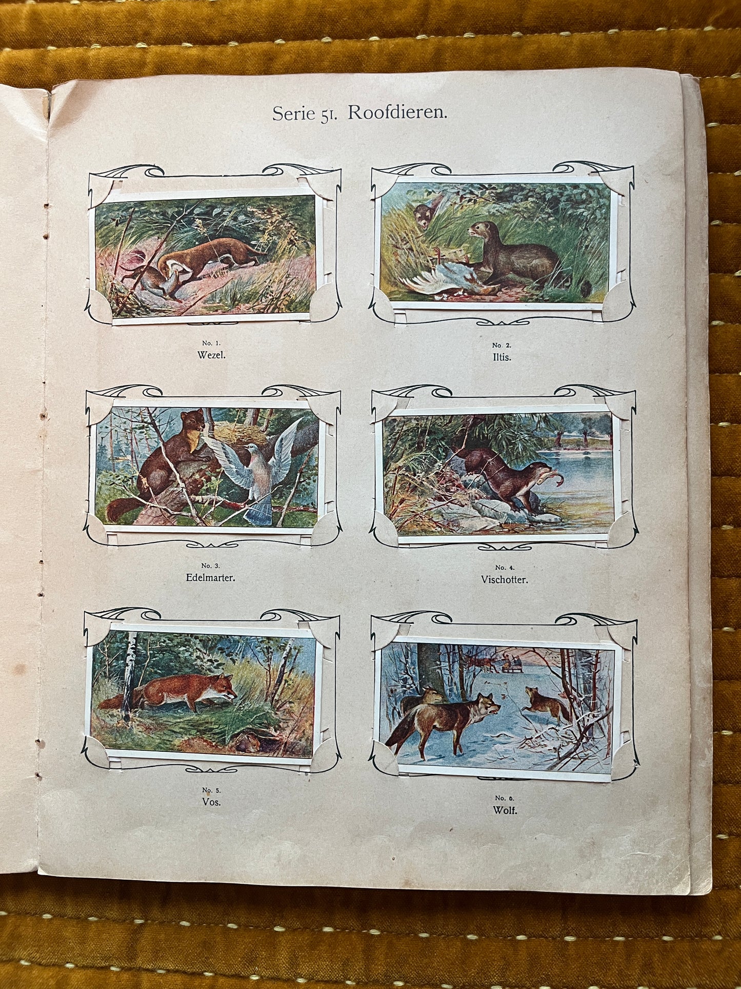 Verkade Picture Album 3 series 49-72 1905 complete