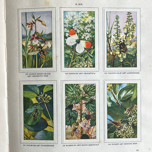 6 Verkade plaatjes De bloemen en haar vrienden 1934 (109-114)