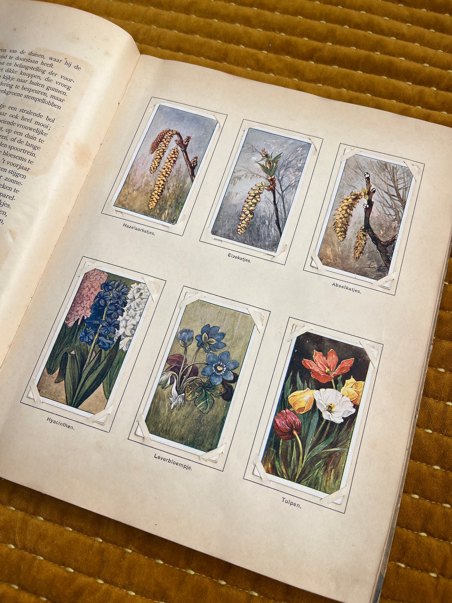 Lente Verkade Plaatjesalbum 1906