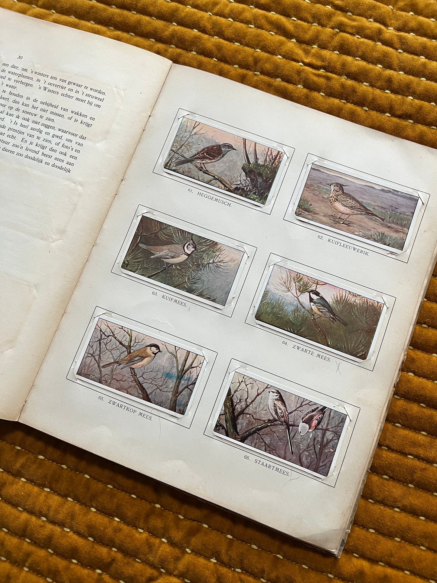 Winter Verkade Plaatjesalbum 1909