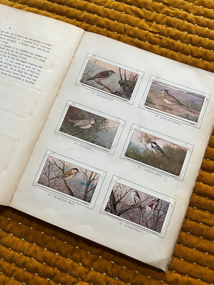 Winter Verkade Plaatjesalbum 1909