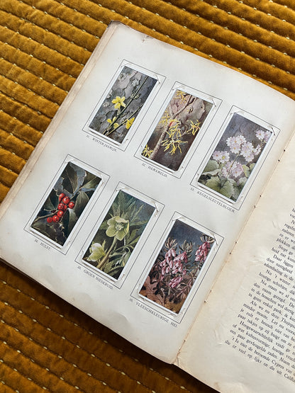 Winter Verkade Plaatjesalbum 1909