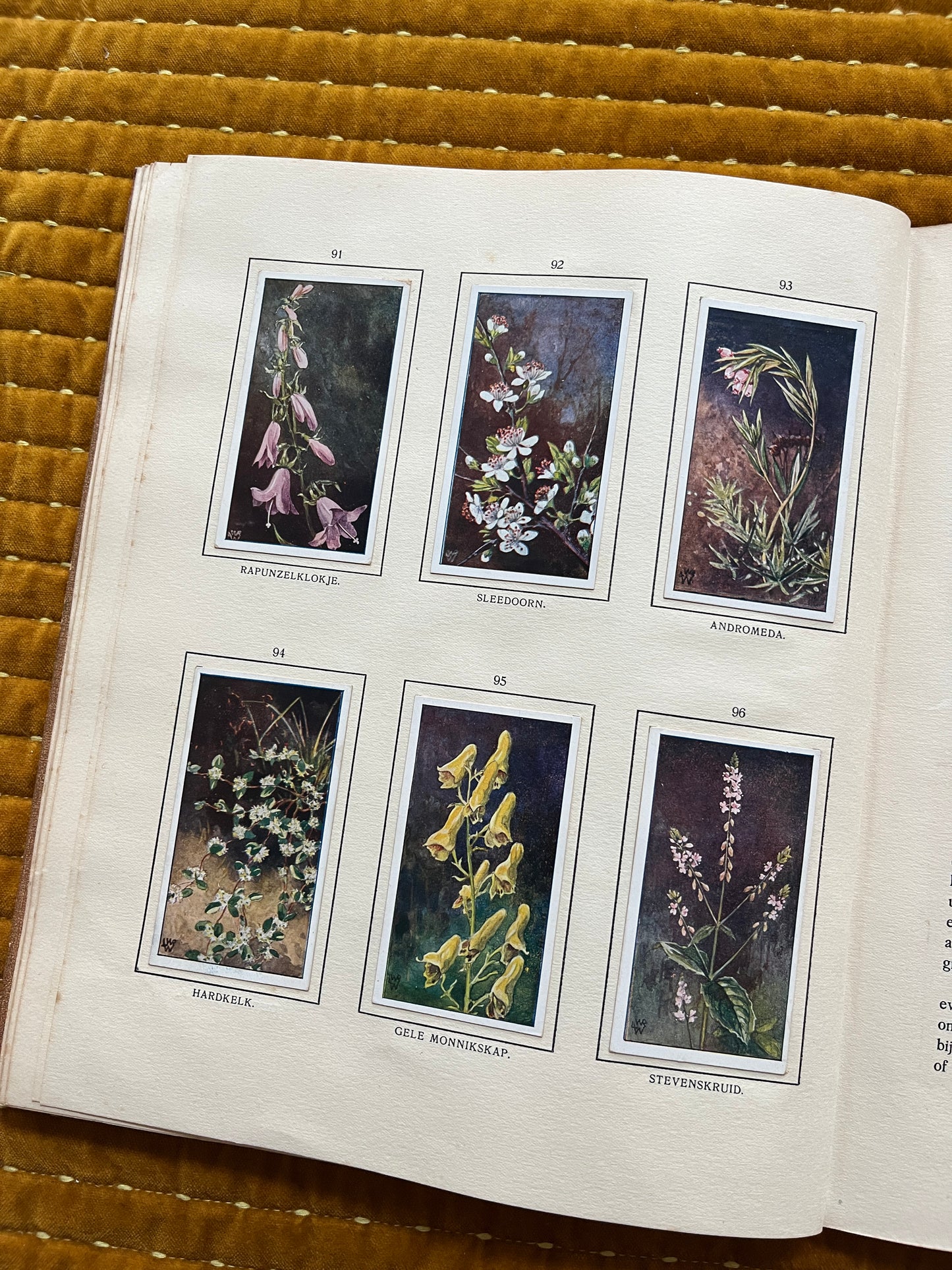 Bosch en Heide Verkade Plaatjesalbum 1913