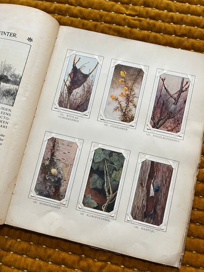 Winter Verkade Plaatjesalbum 1909