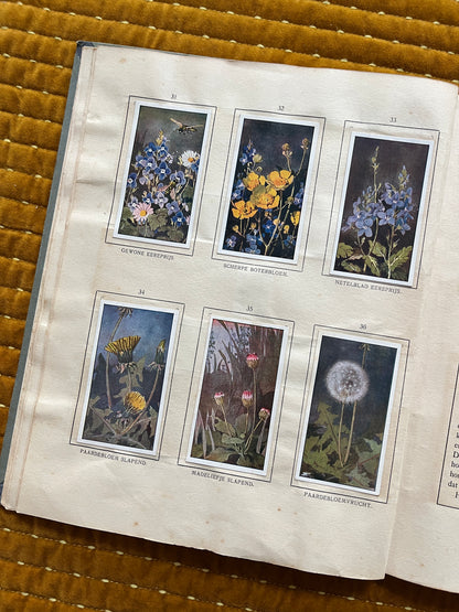 Das Bonte Wei Verkade-Bilderalbum 1911