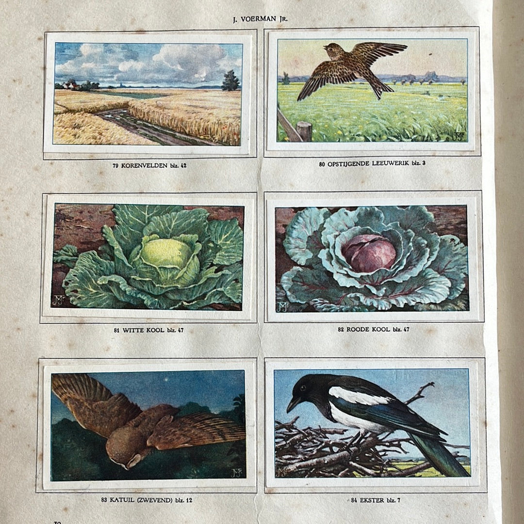 6 Verkade-Bilder Der Bauernhof 1936 (79-84)