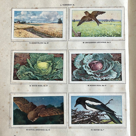 6 Verkade-Bilder Der Bauernhof 1936 (79-84)
