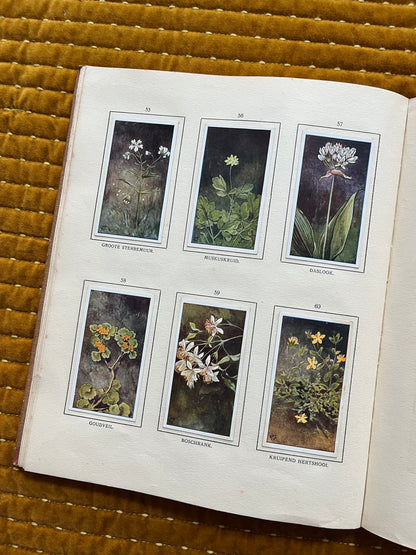 Bosch en Heide Verkade Plaatjesalbum 1913