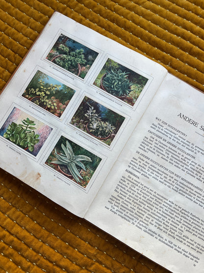 Cactus-Album Plaatjesalbum