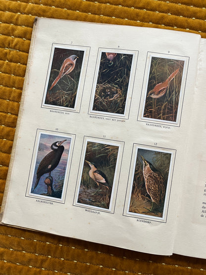 Das Naardermeer Verkade-Bilderalbum 1912