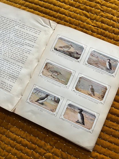 Winter Verkade Plaatjesalbum 1909