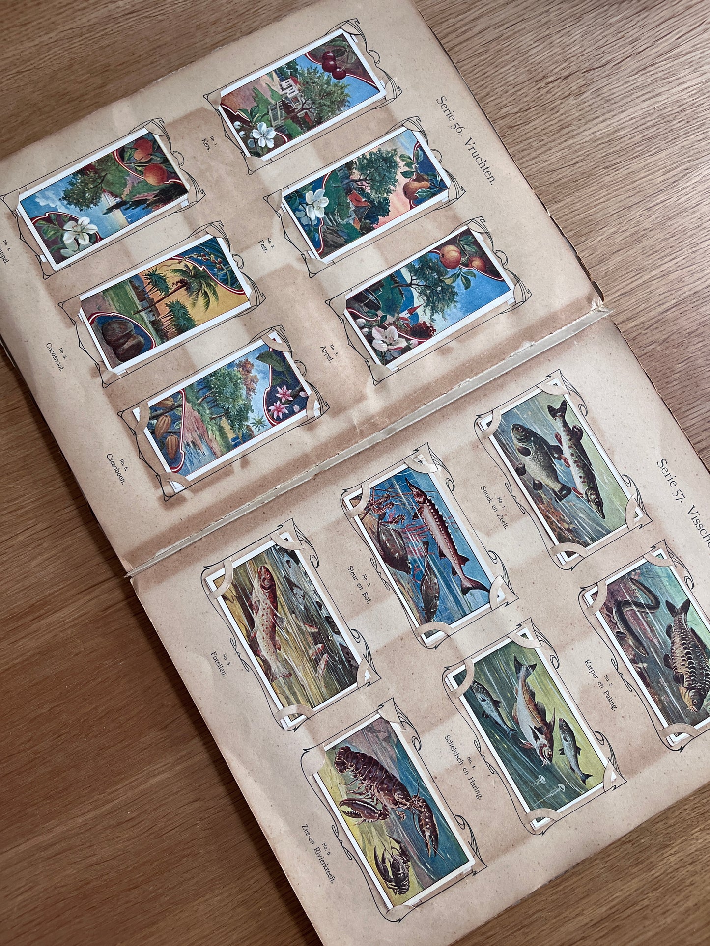 Verkade Plaatjesalbum 3 serie 49-72 1905 compleet #4