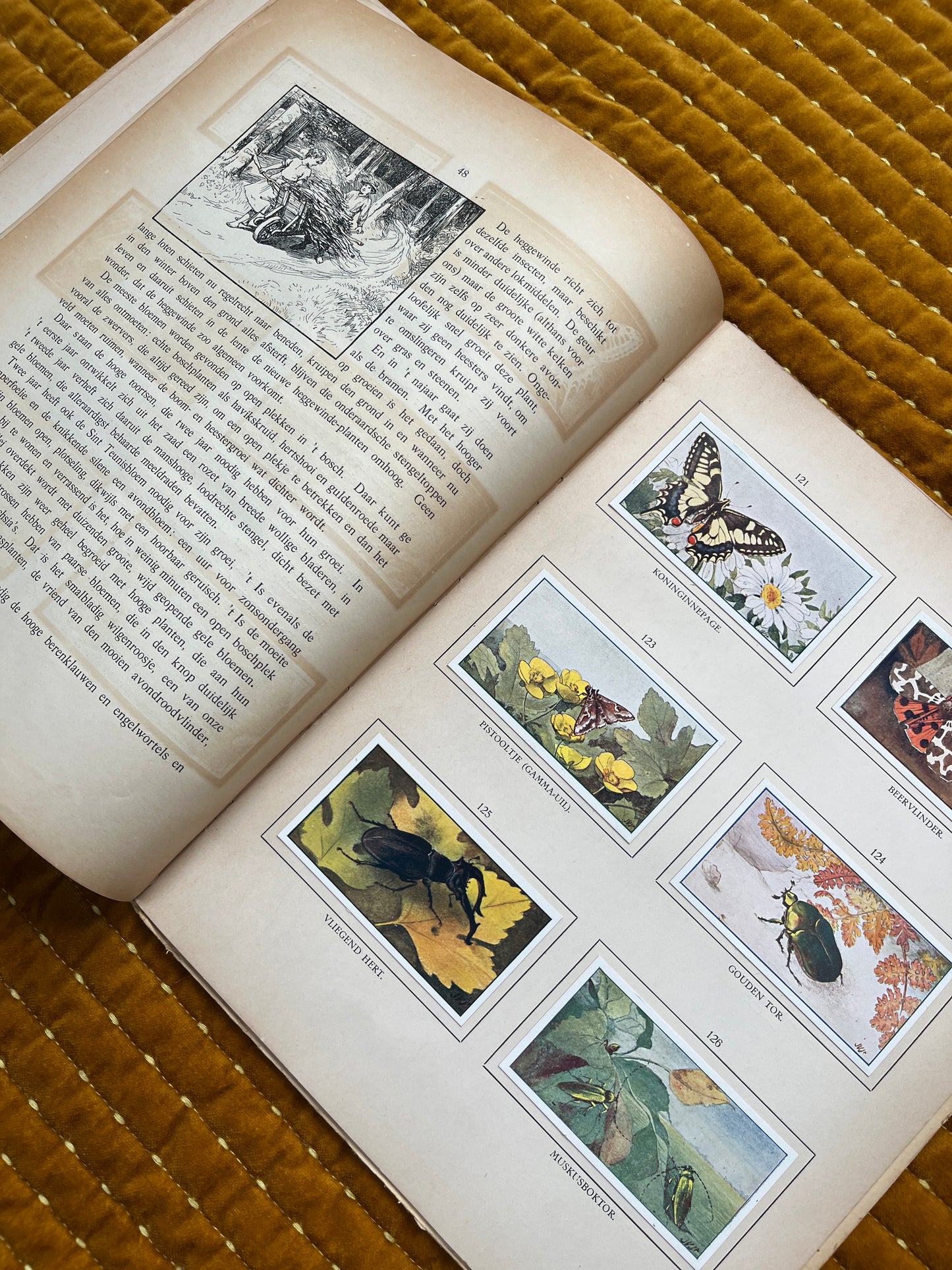 Zomer Verkade Plaatjesalbum 1908 (tweede druk)