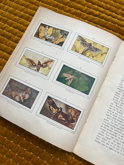 Zomer Verkade Plaatjesalbum 1907 (derde druk)