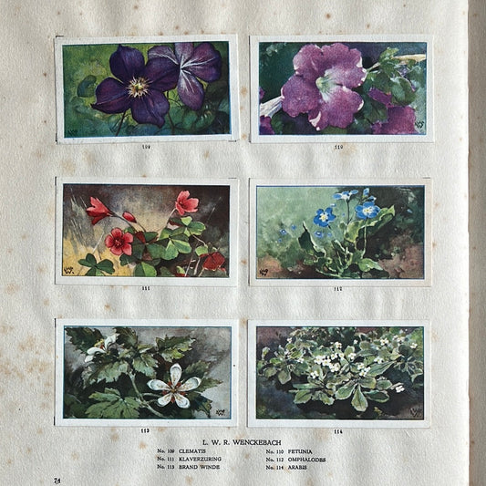 6 Verkade plaatjes De bloemen in onze tuin 1926 (109-114)
