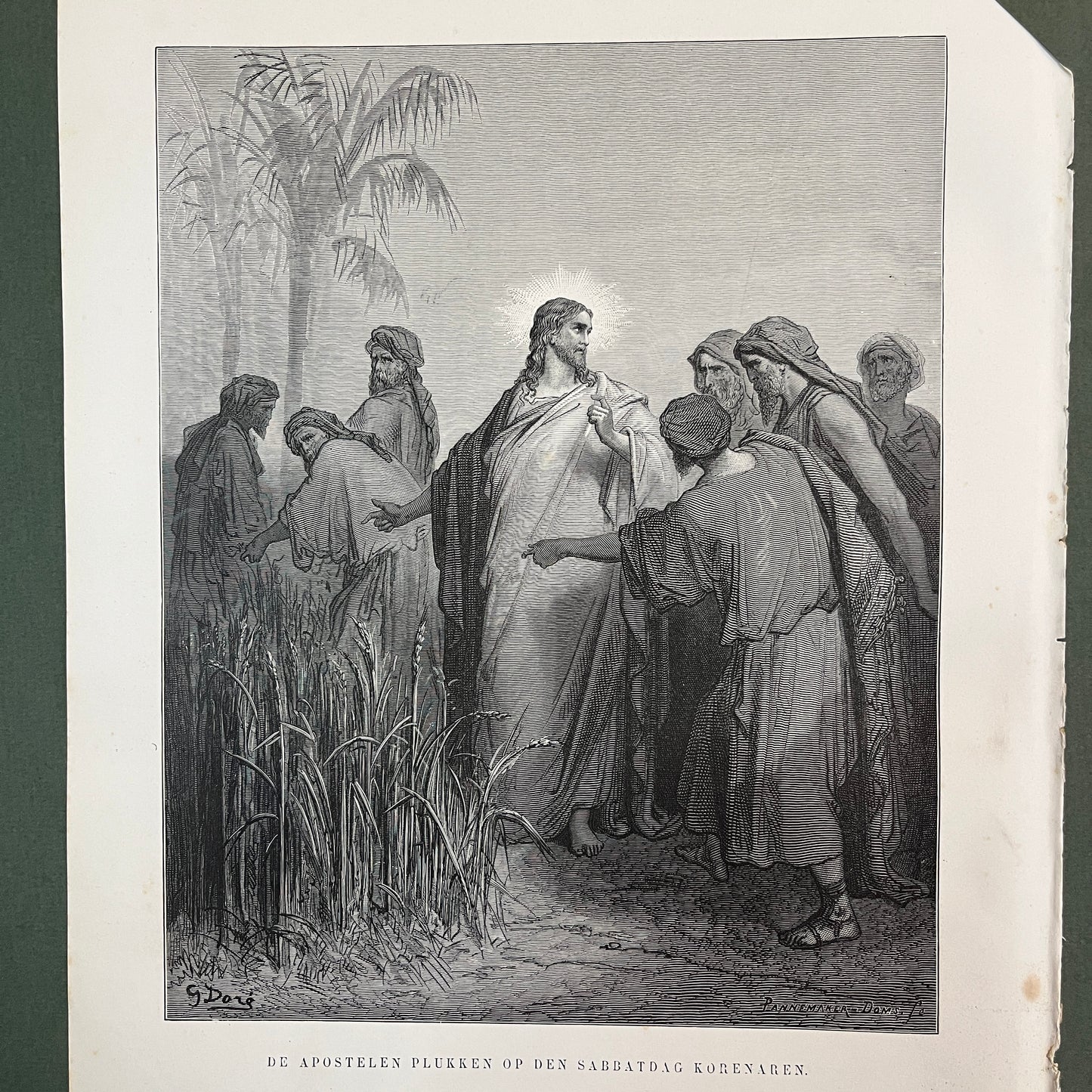 The apostles picking ears of corn on the sabbath day. Original wood engraving by Gustave Doré from 1875.