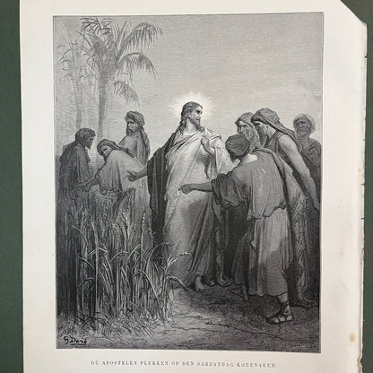 De apostelen plukken op den sabbatdag korenaren. Originele houtgravure van Gustave Doré uit 1875.