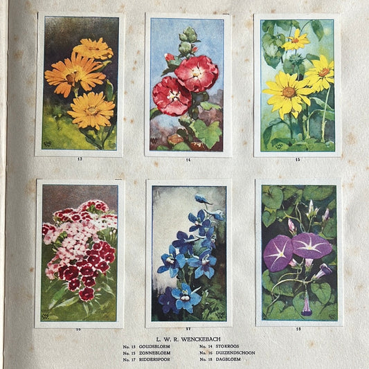 6 Verkade plaatjes De bloemen in onze tuin 1926 (13-18)