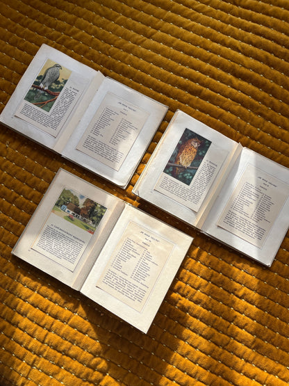 De Hoge Veluwe Zakalbums serie