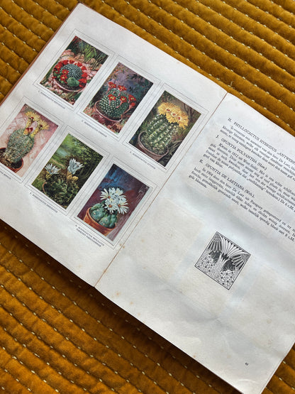 Cactus-Album Plaatjesalbum