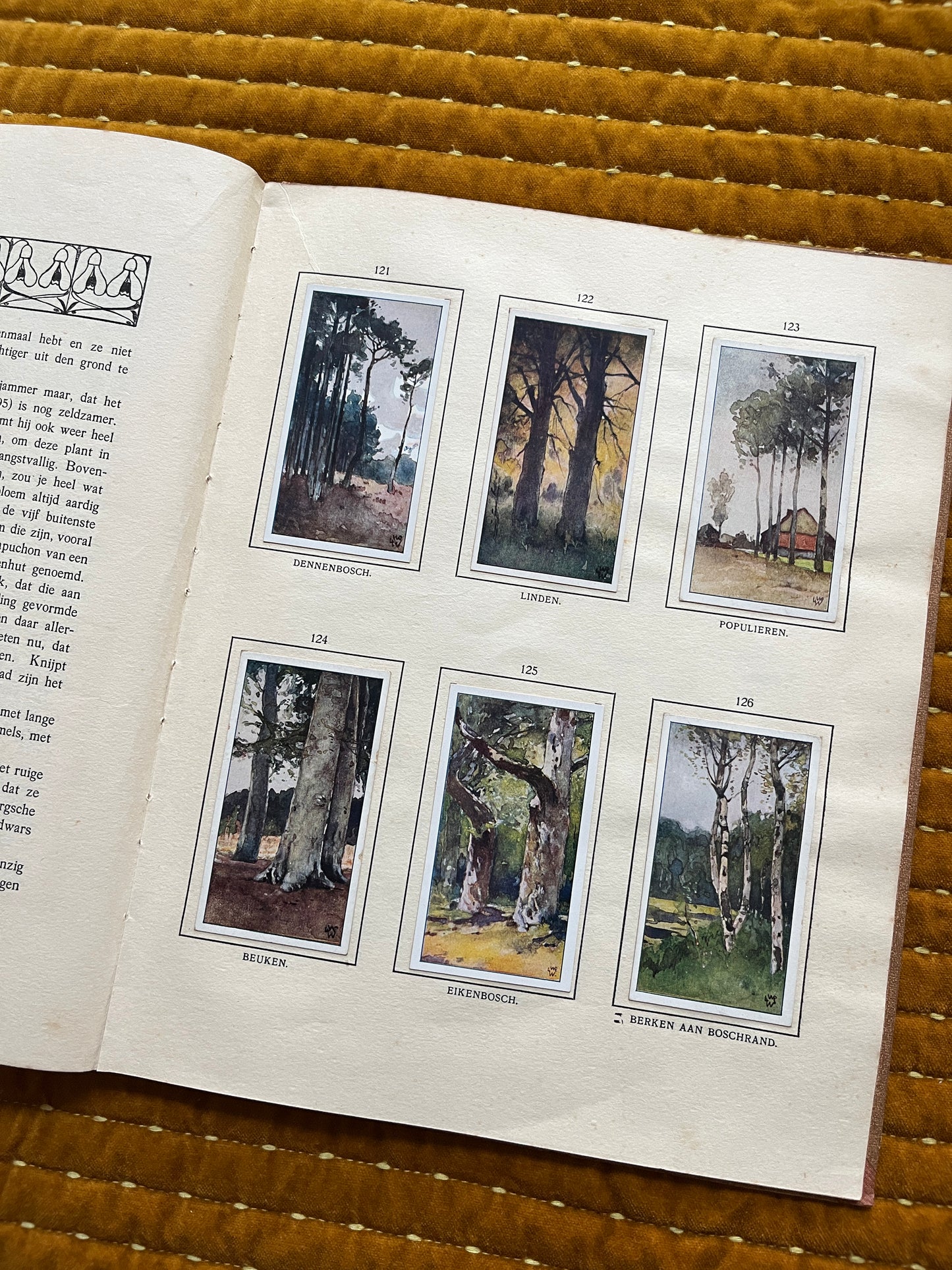 Bosch en Heide Verkade Plaatjesalbum 1913