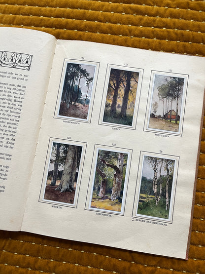Bosch en Heide Verkade Plaatjesalbum 1913