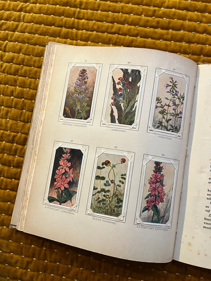 Blonde Duinen Verkade Plaatjesalbum 1910