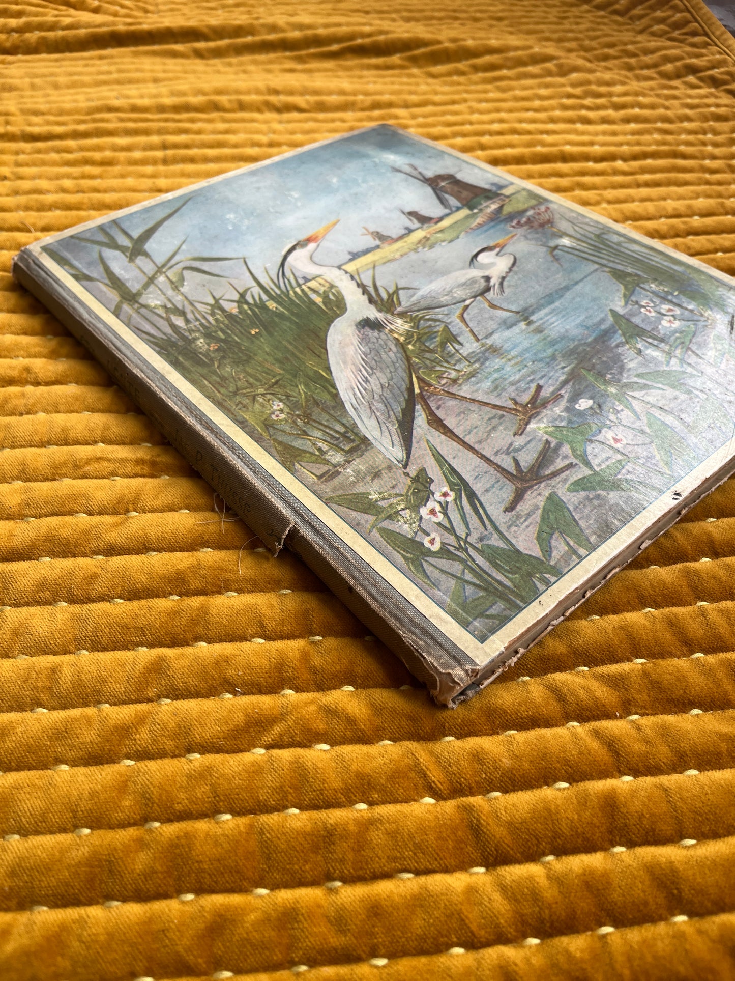 Lente Verkade Plaatjesalbum 1906