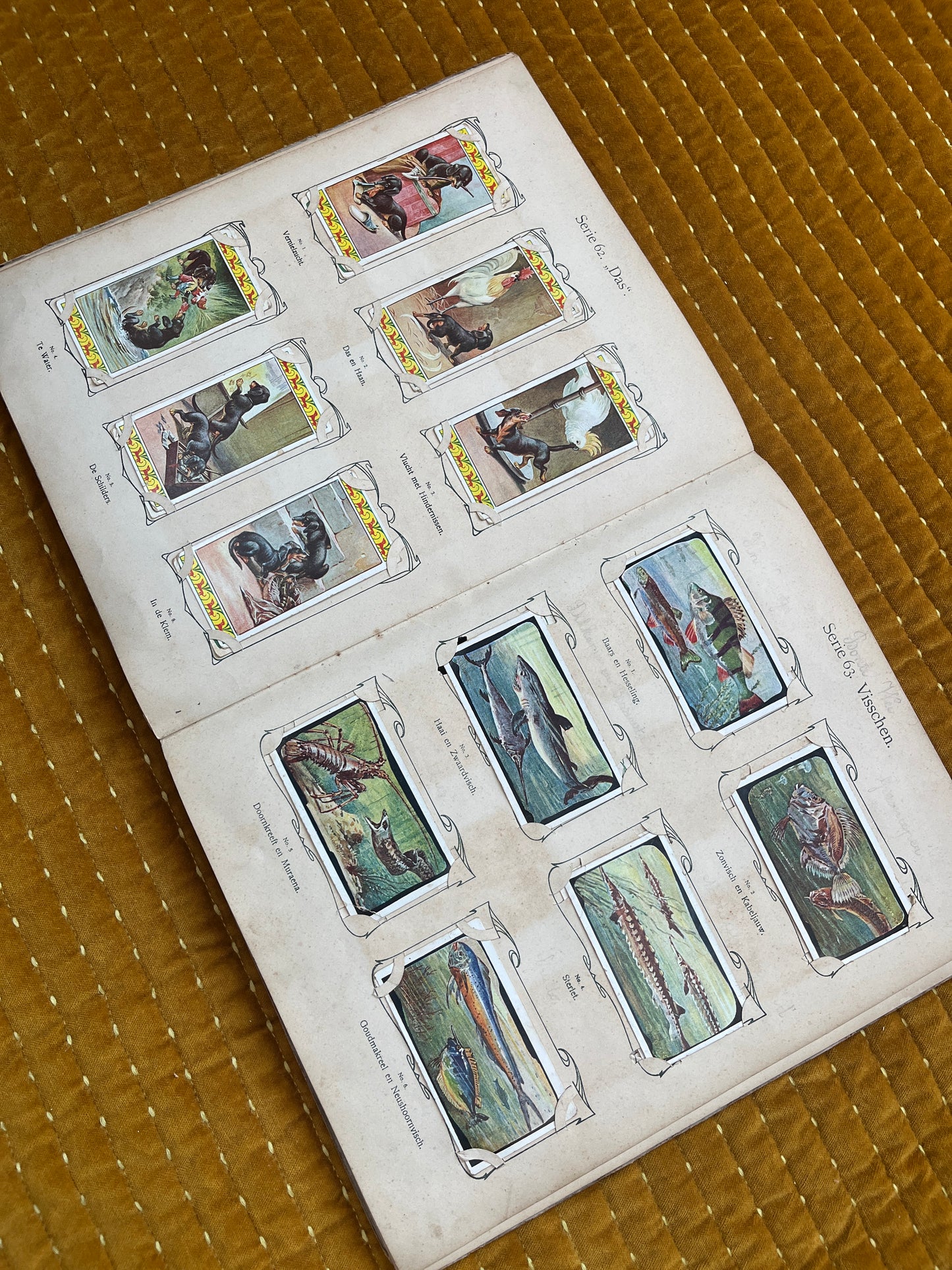 Verkade Bilderalbum 3, Serie 49-72, 1905, vollständig