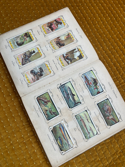 Verkade Bilderalbum 3, Serie 49-72, 1905, vollständig