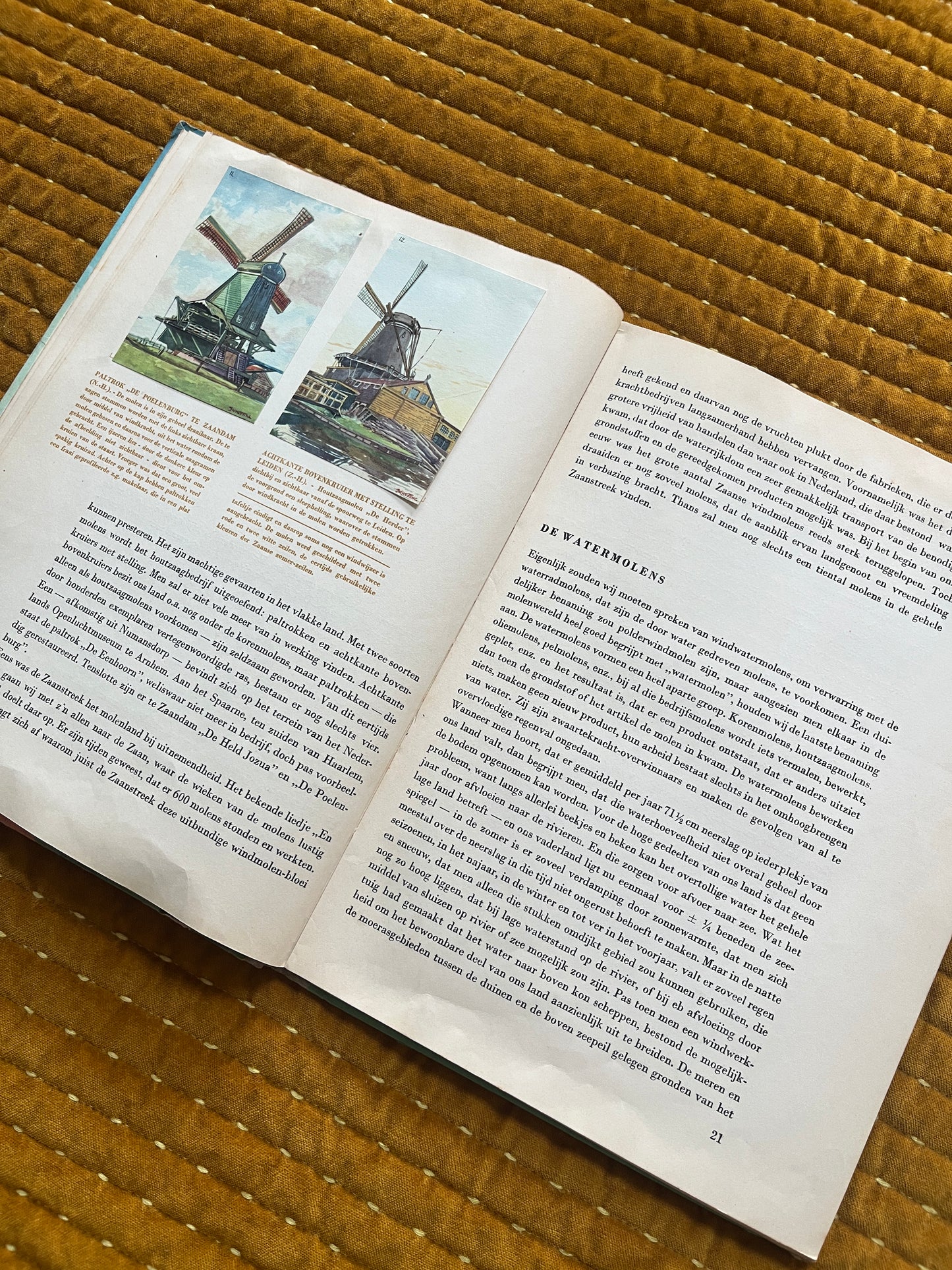 Mühlen und Kostüme in den Niederlanden, Fotoalbum 1949