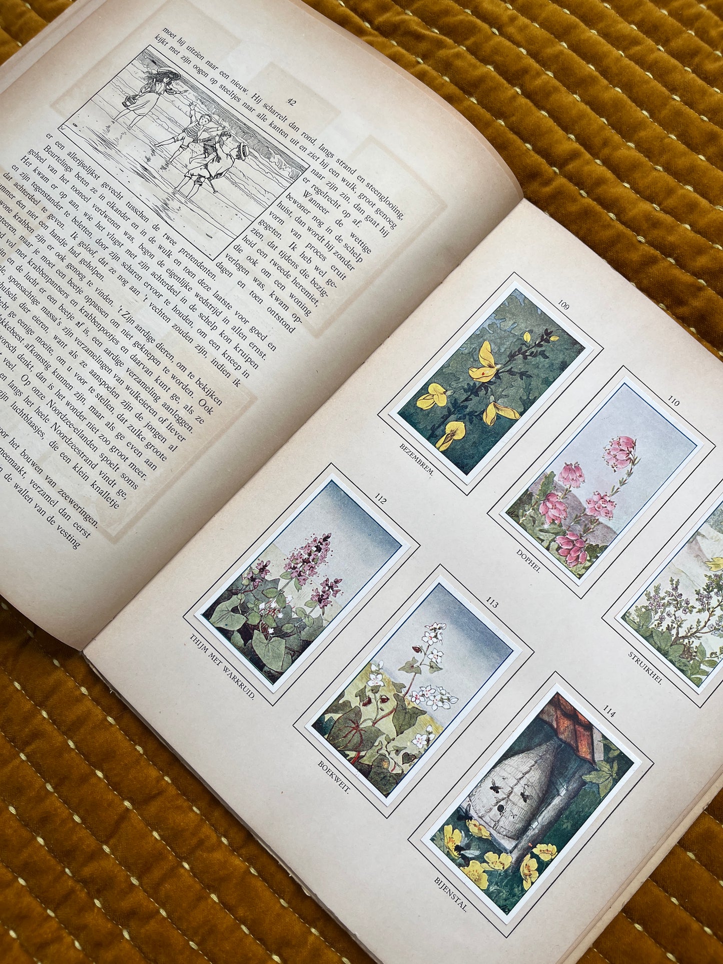 Zomer Verkade Plaatjesalbum 1908 (tweede druk)