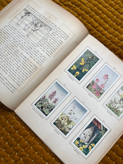 Zomer Verkade Plaatjesalbum 1908 (tweede druk)