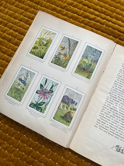 Zomer Verkade Plaatjesalbum 1907 (derde druk)