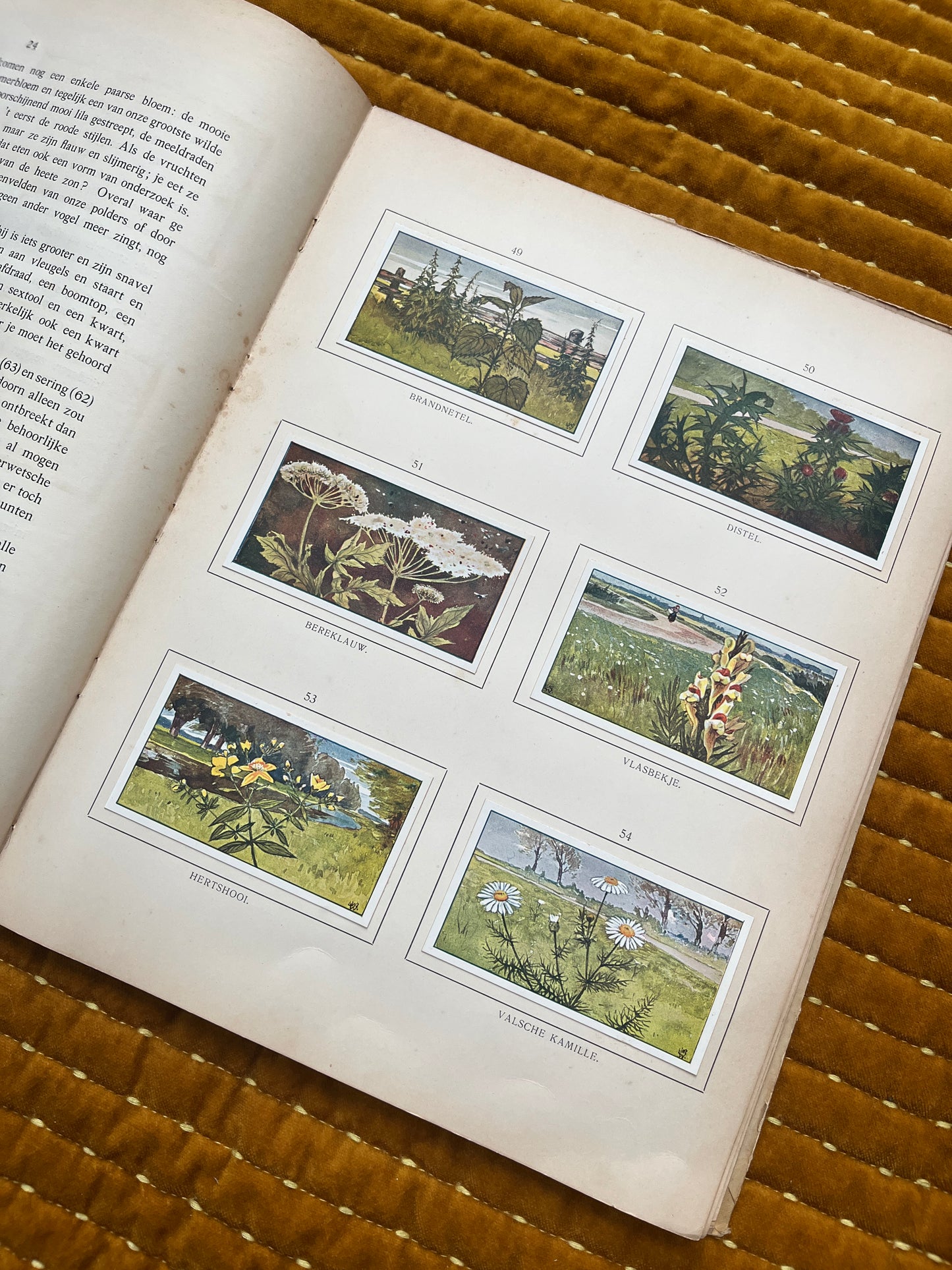 Zomer Verkade Plaatjesalbum 1907 (derde druk)