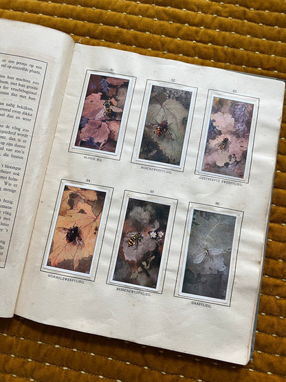 Das Bonte Wei Verkade-Bilderalbum 1911