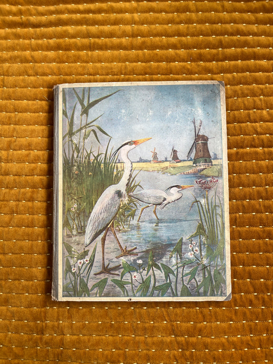 Lente Verkade Plaatjesalbum 1906