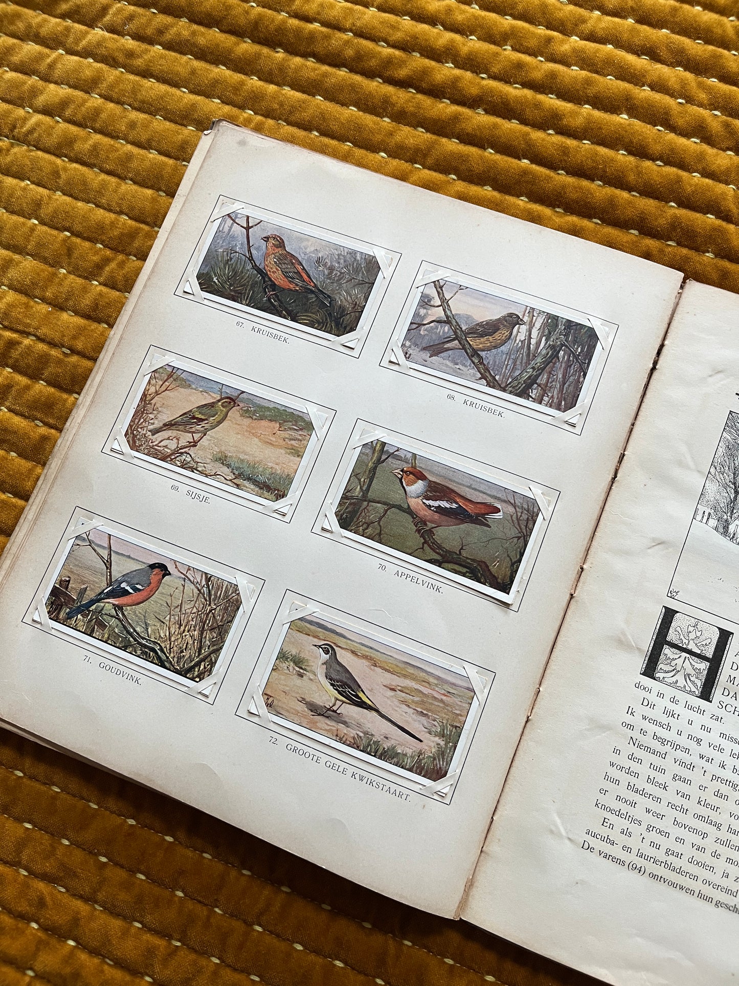 Winter Verkade Plaatjesalbum 1909