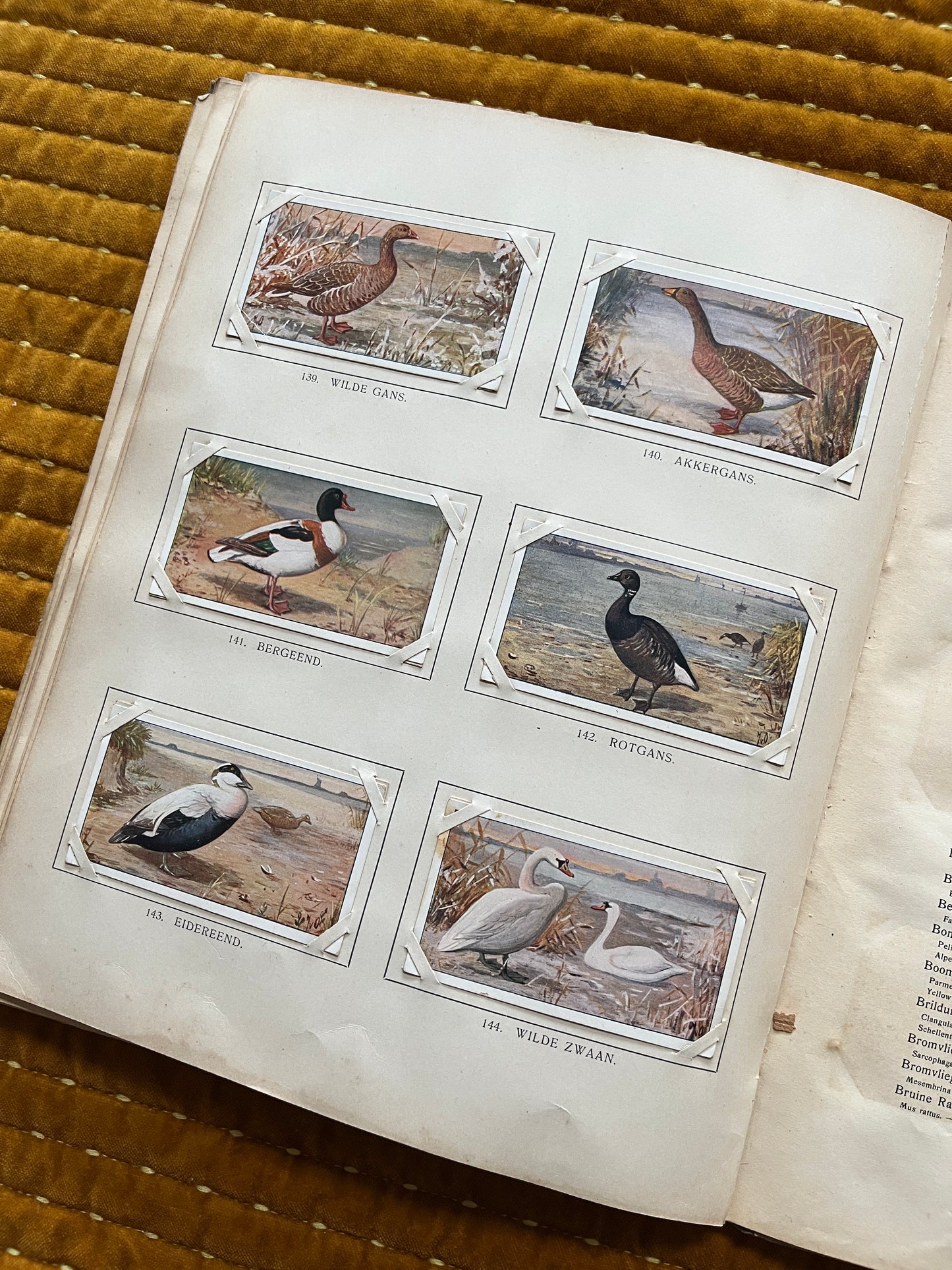 Winter Verkade Plaatjesalbum 1909