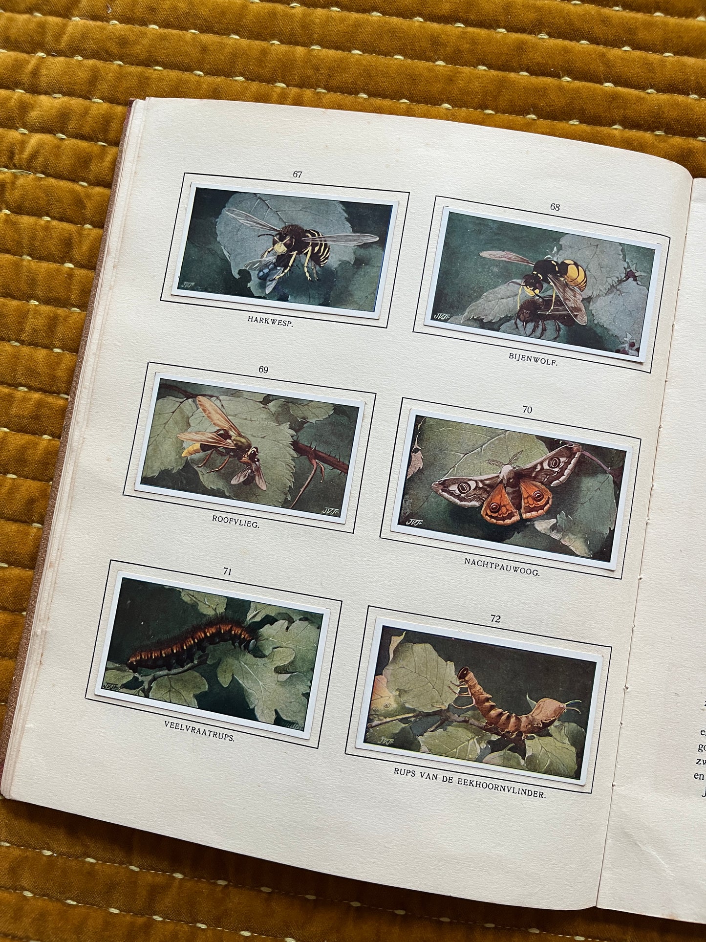 Bosch en Heide Verkade Plaatjesalbum 1913