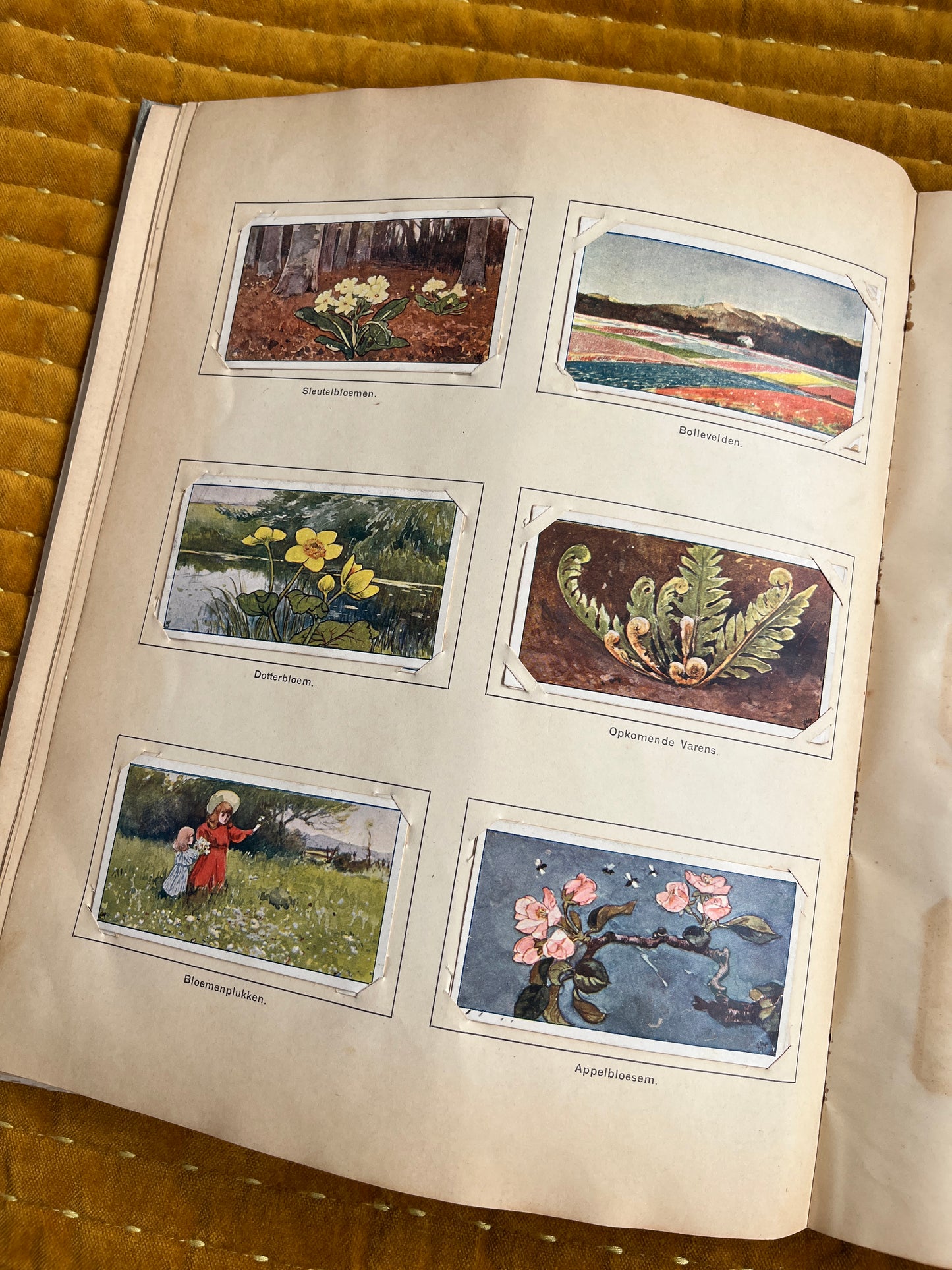 Lente Verkade Plaatjesalbum 1906